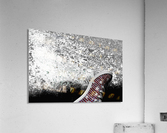 Shoes On Acrylic Print