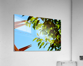 Light Up Acrylic Print