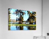 Watch Me Go Acrylic Print