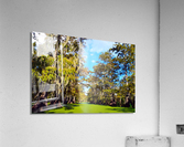 Cannot Look Away Acrylic Print