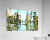 Copycat  Acrylic Print