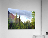 Perspective Approves Acrylic Print