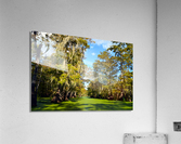 Where to Next Acrylic Print