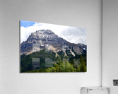 Distance  Acrylic Print