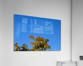 Keep An Eye Out Acrylic Print