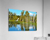 Glide With Me Acrylic Print