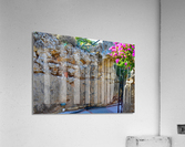 Untitled Acrylic Print