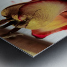 Painted Roses.12 Metal print