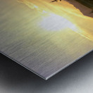 Another Look Metal print