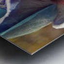 Sharp Metal print
