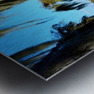 Fly Back Metal print