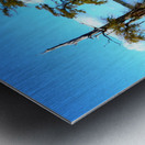 Reflect Much Metal print