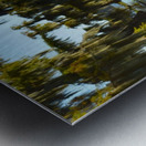 Blurred But Focused Metal print
