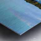 Swim or Not Metal print