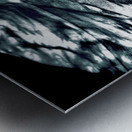 Where Does it Lay Metal print
