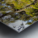 Cannot Look Away Metal print