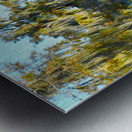Copycat  Metal print