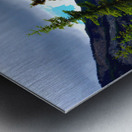 Perspective Approves Metal print