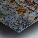 Untitled Metal print