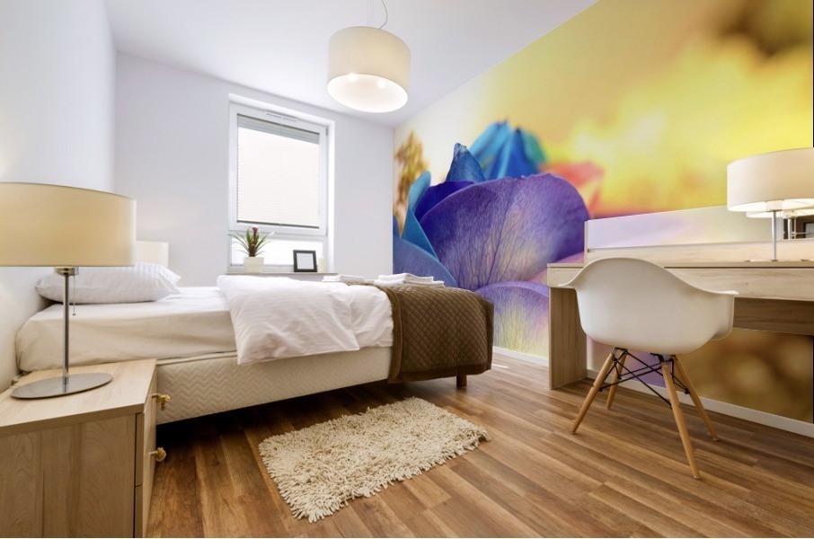 Colourful Days Mural print