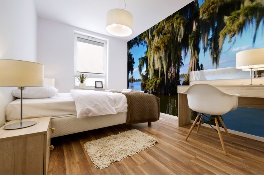 Rock Bottom Mural print