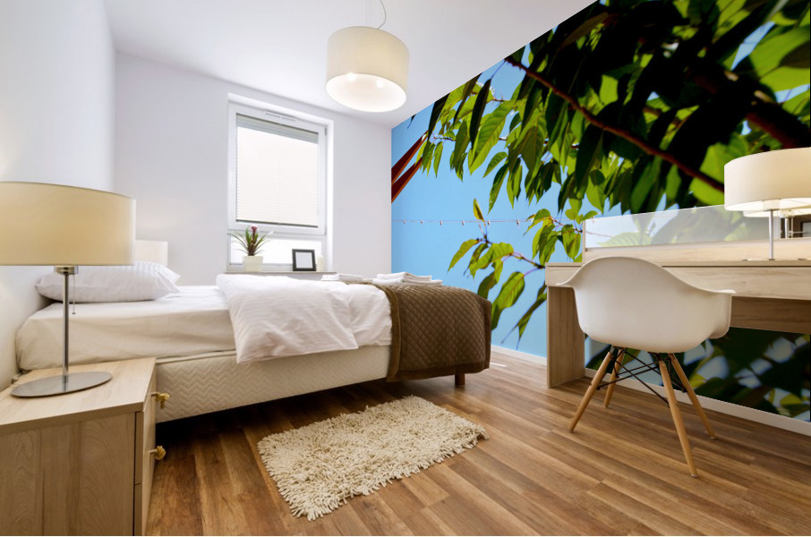 Light Up Mural print