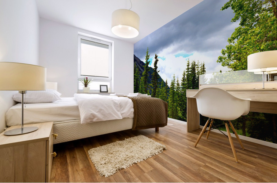 Perspective Approves Mural print