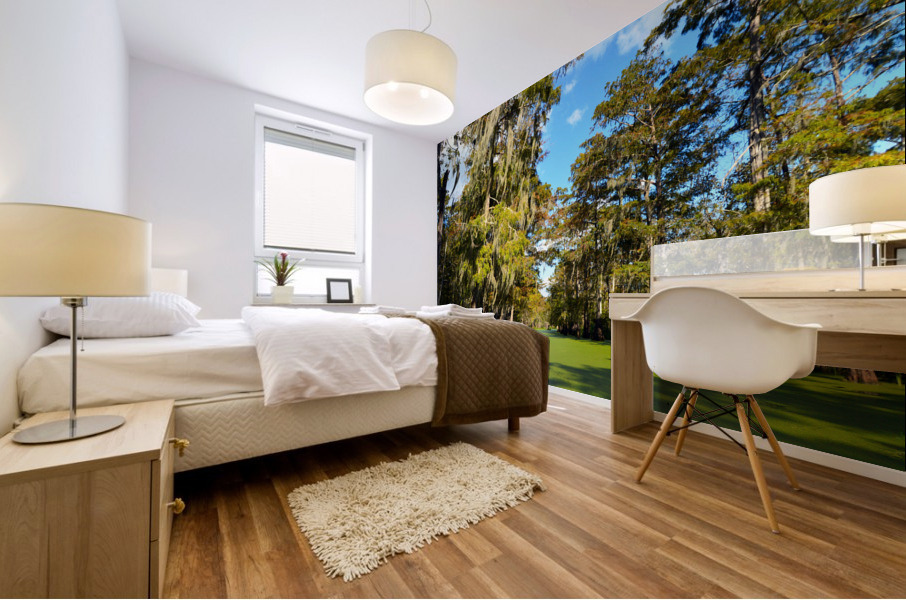 Where to Next Mural print