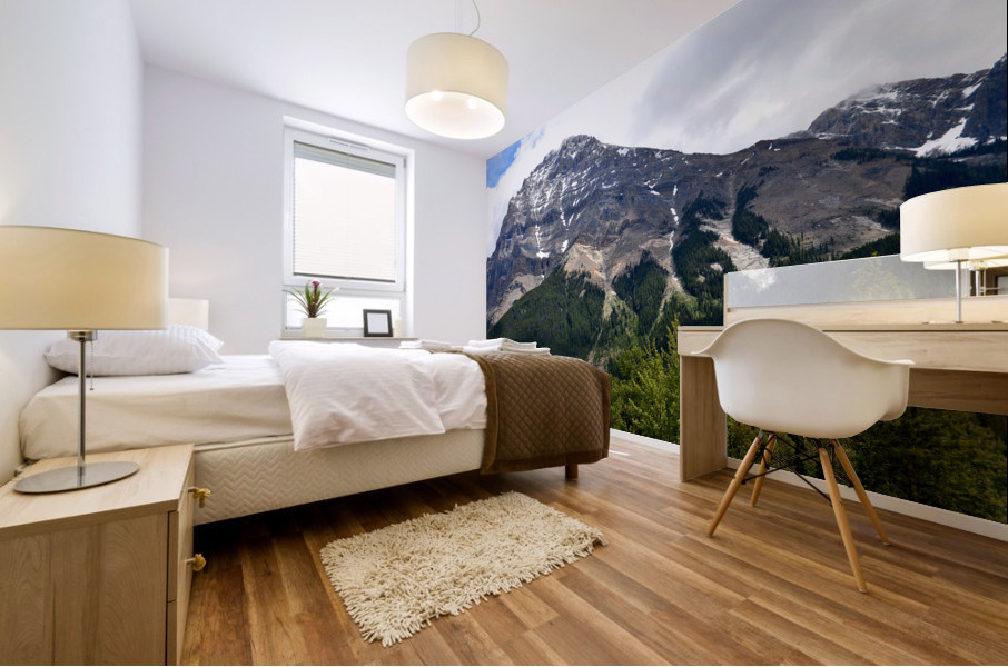 Distance  Mural print