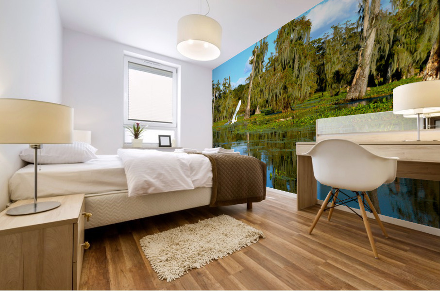 Glide With Me Mural print