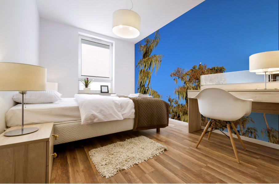 Watchful Eye Mural print