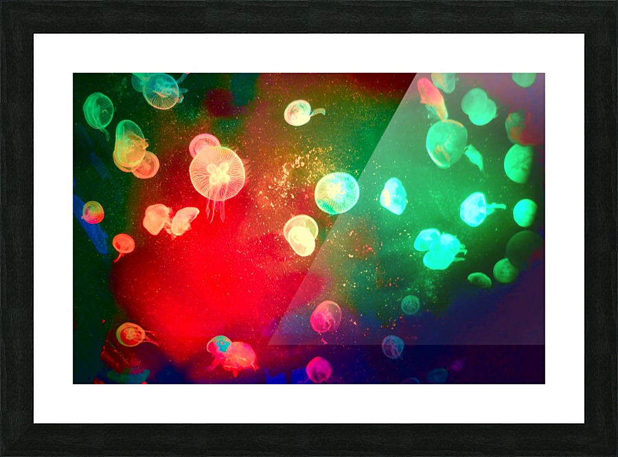 Jelly Picture Frame print