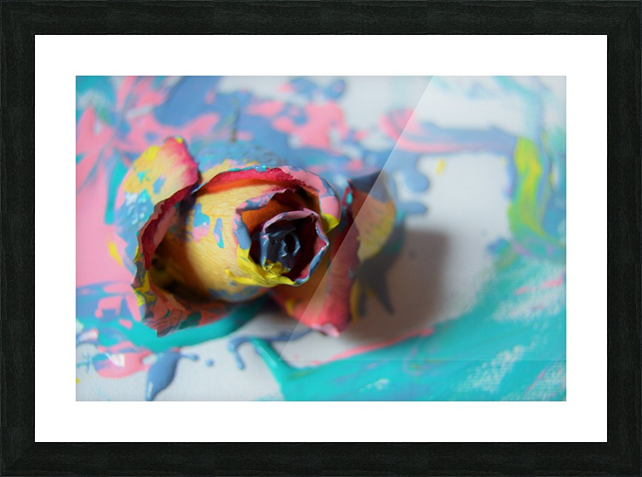 Painted Roses.01 Picture Frame print