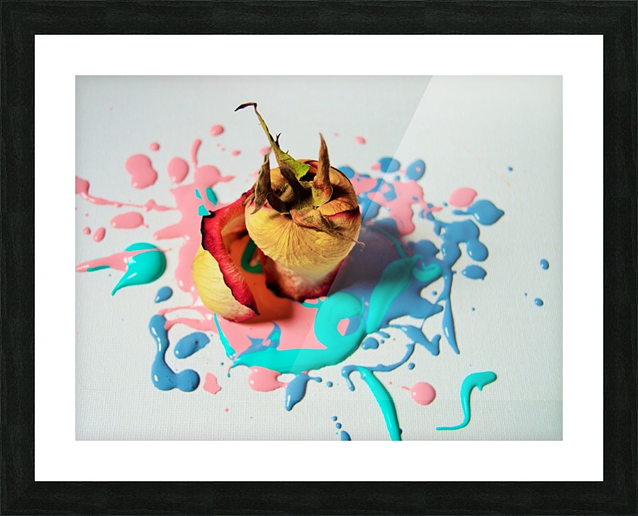 Painted Roses.02 Picture Frame print