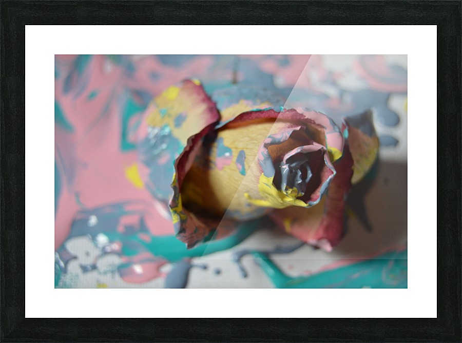 Painted Roses.03 Picture Frame print