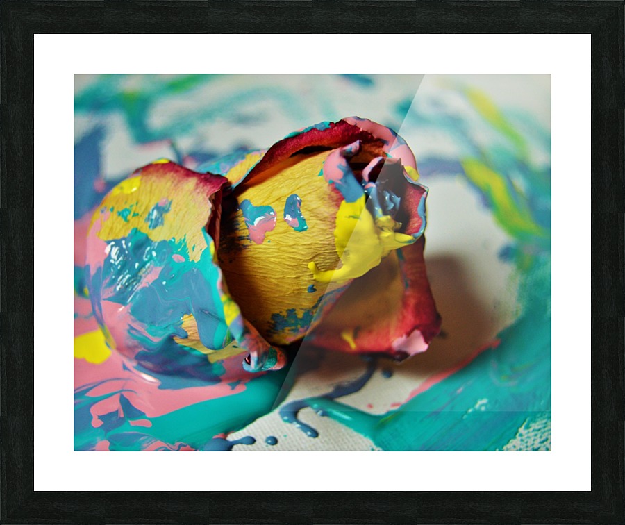 Painted Roses.06 Picture Frame print
