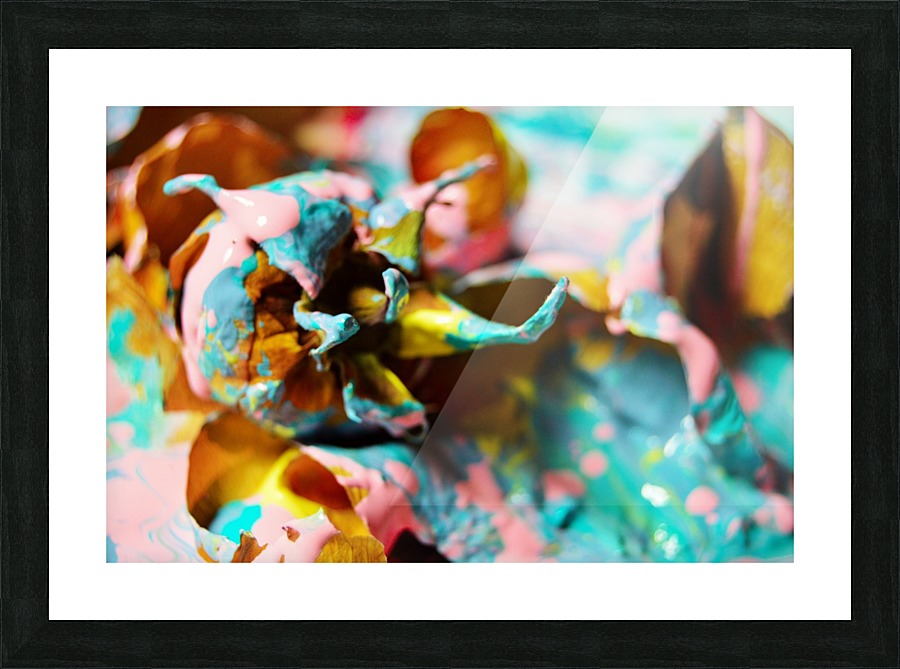 Painted Roses.10 Picture Frame print