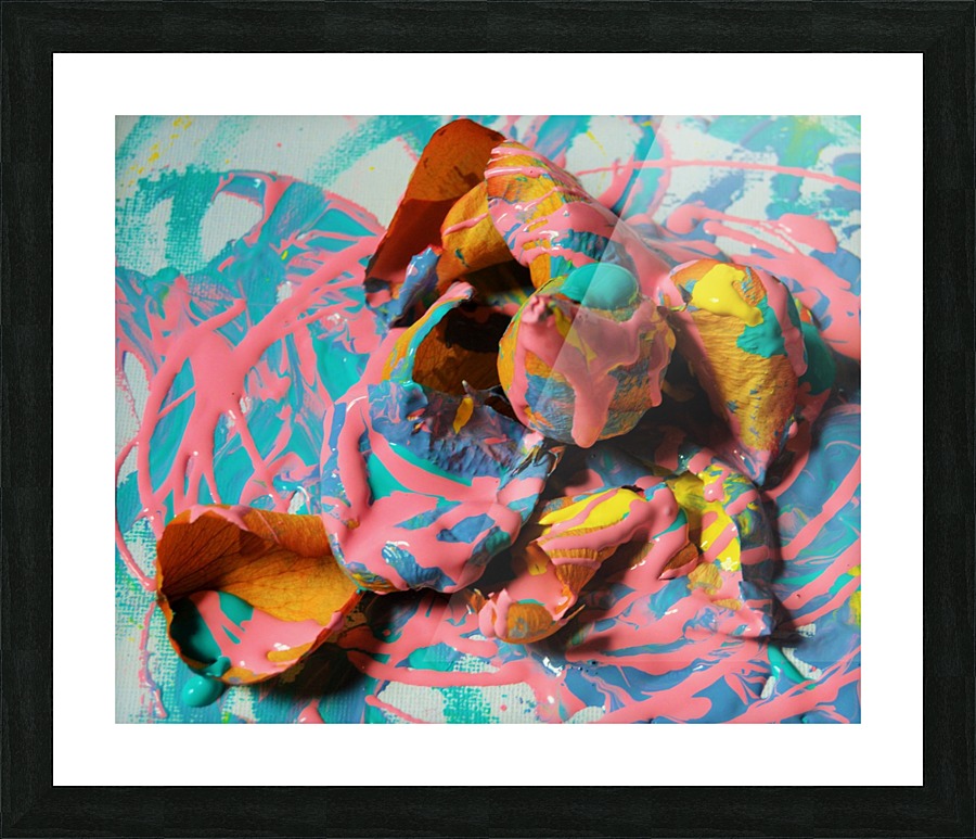 Painted Roses.11 Picture Frame print