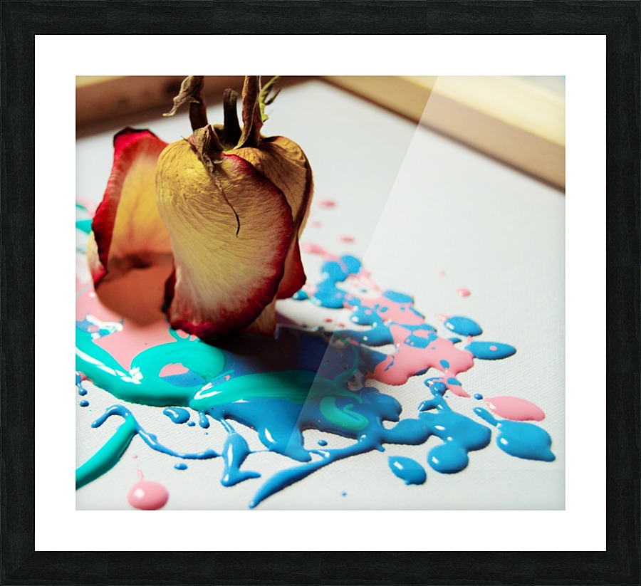 Painted Roses.12 Picture Frame print