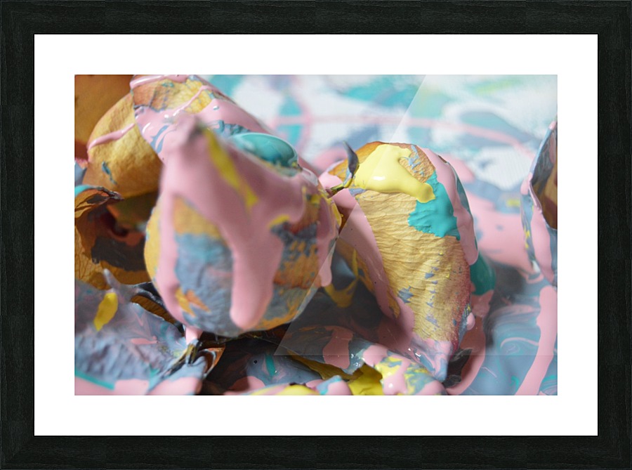 Painted Roses.13 Picture Frame print
