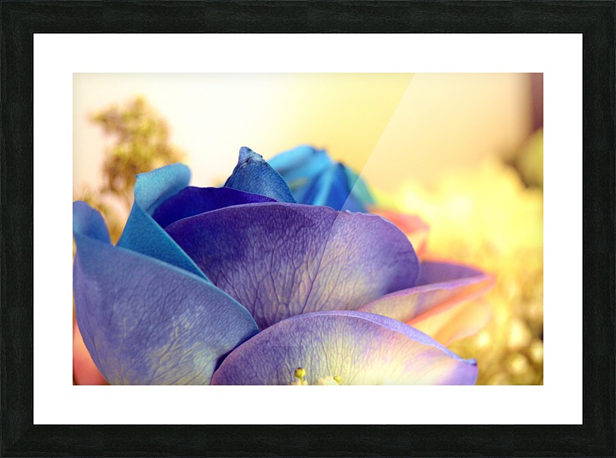 Colourful Days Picture Frame print