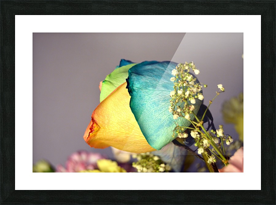 Blank Colours Picture Frame print
