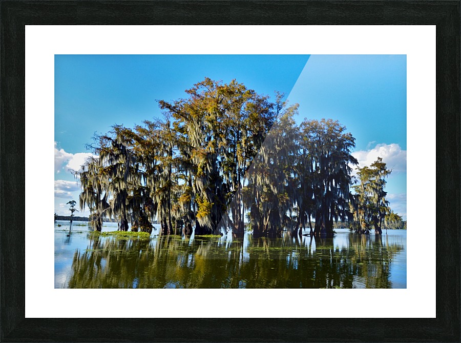 Waterways Picture Frame print