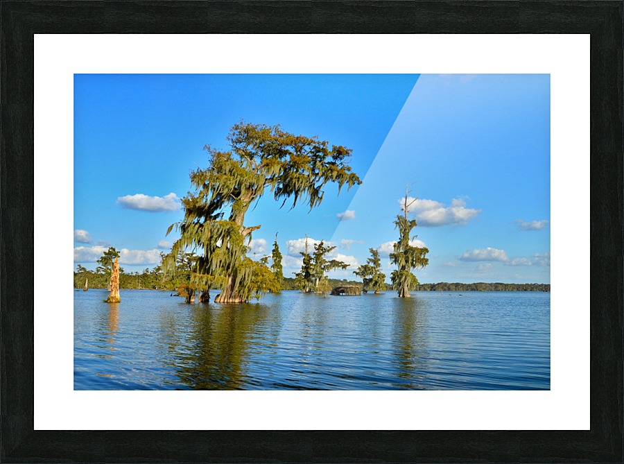 On a Curve Picture Frame print