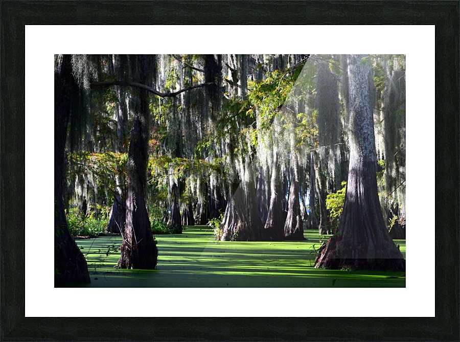 Swampy Picture Frame print