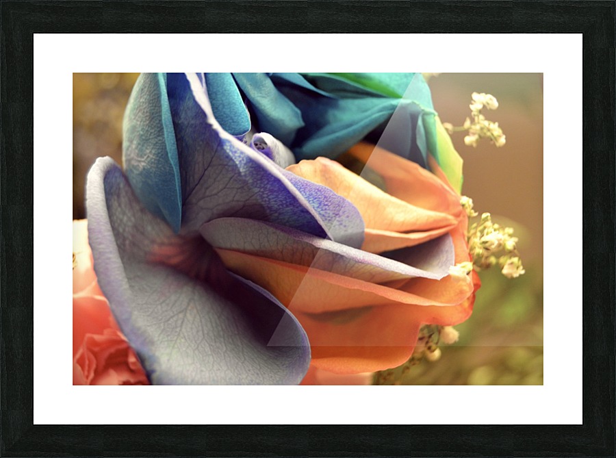 Sharp Picture Frame print