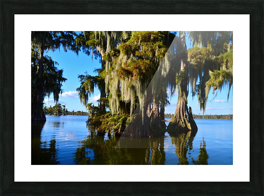 Rock Bottom Picture Frame print