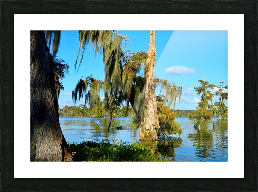 Fly Back Picture Frame print