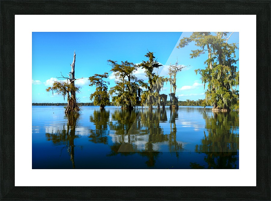 Reflect Much Picture Frame print