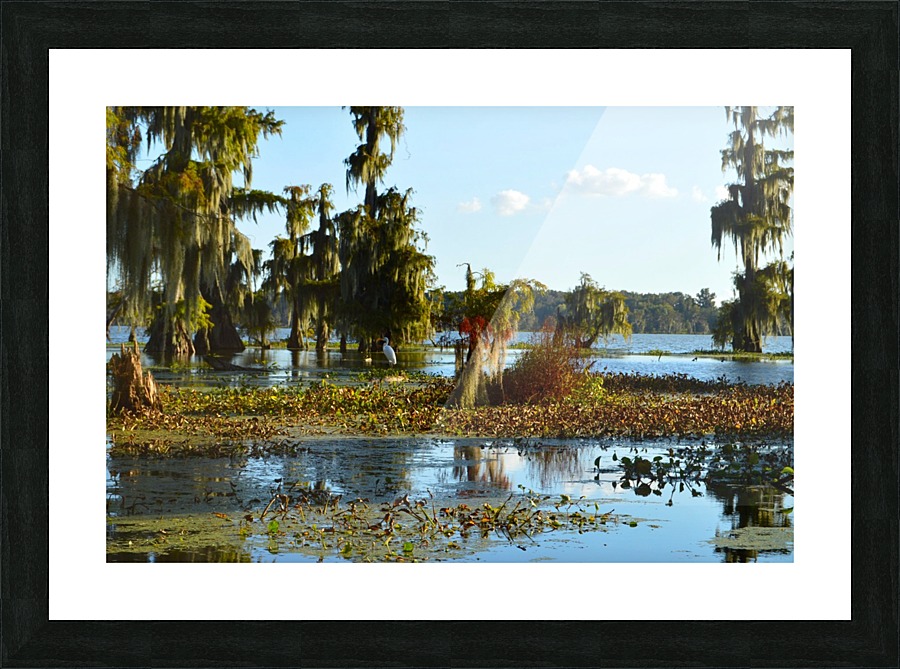Blurred But Focused Picture Frame print